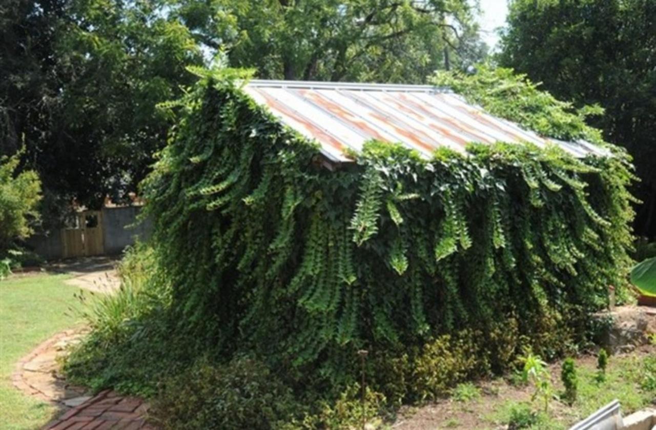 Clevedale Historic Inn&Gardens Spartanburg Buitenkant foto
